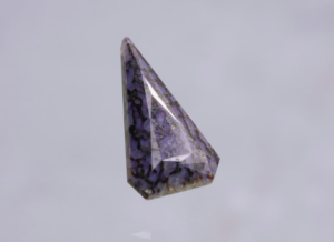 Dinasauer bone