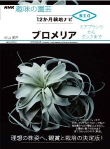 ブロメリア: エアプランツからタンクまで
