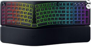 Razer レイザー Pro Type Ergo